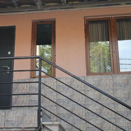 Family Apartament Appartamento Tbilisi Esterno foto