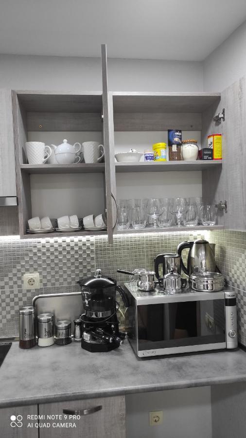 Family Apartament Appartamento Tbilisi Esterno foto