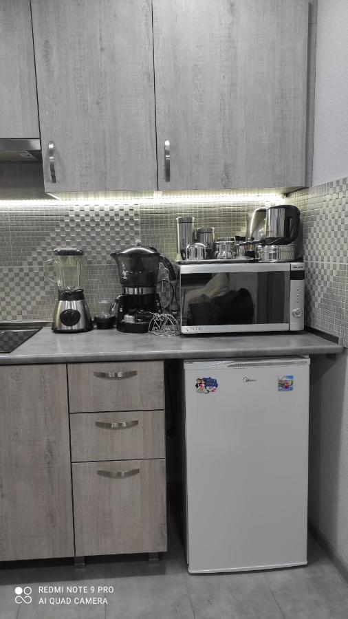 Family Apartament Appartamento Tbilisi Esterno foto