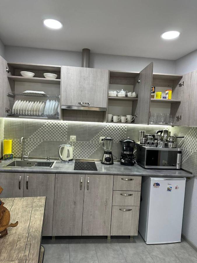 Family Apartament Appartamento Tbilisi Esterno foto