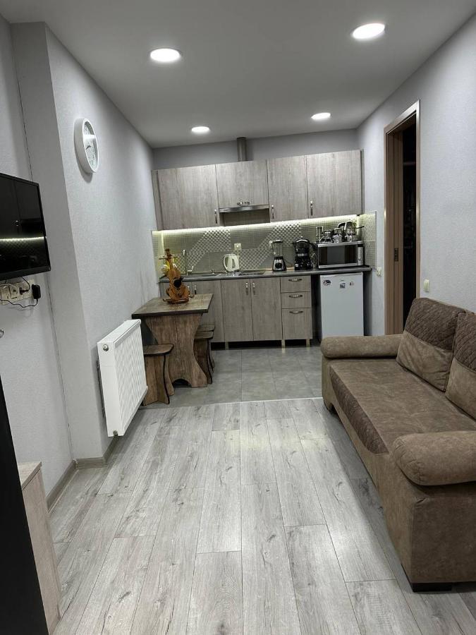 Family Apartament Appartamento Tbilisi Esterno foto