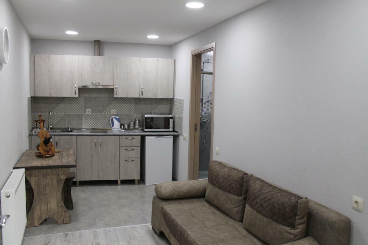 Family Apartament Appartamento Tbilisi Esterno foto