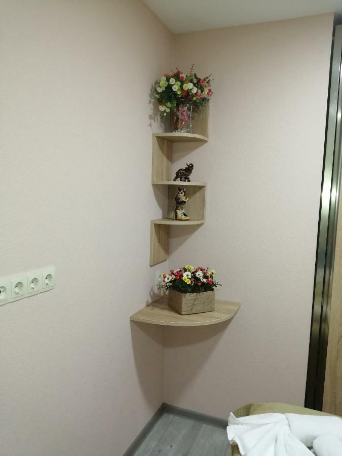 Family Apartament Appartamento Tbilisi Esterno foto